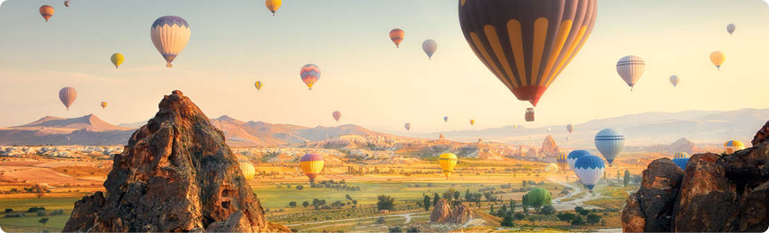 şartlar ve koşullar